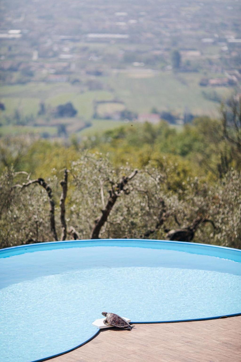 Villa Desiderio Tuscany Pistoia Exterior foto