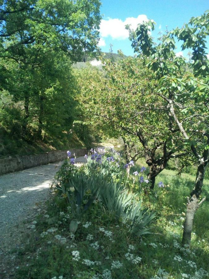 Villa Desiderio Tuscany Pistoia Exterior foto